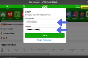 OdiBets: Website Authorization step 2